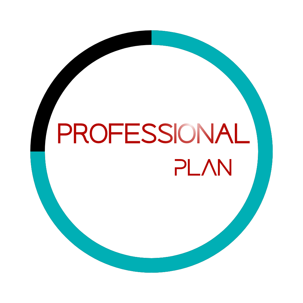 Professional Plan