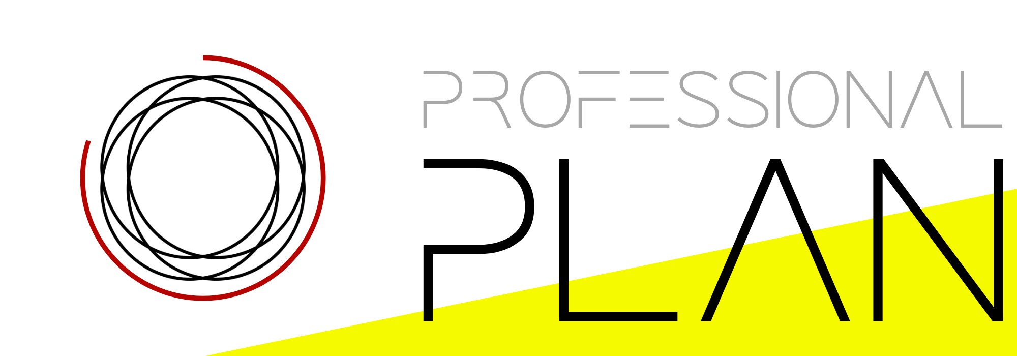 Professional